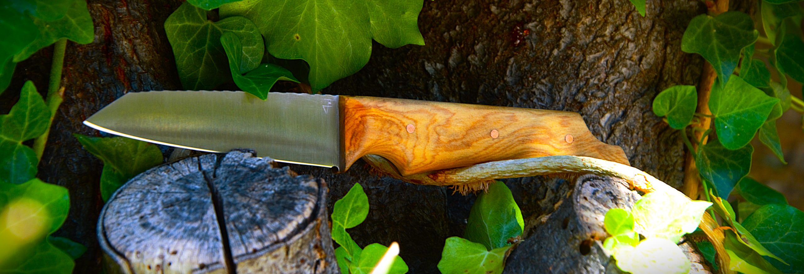 Couteau d'office en olivier d'espagne,inox,1.5 mm et rivet cuivre