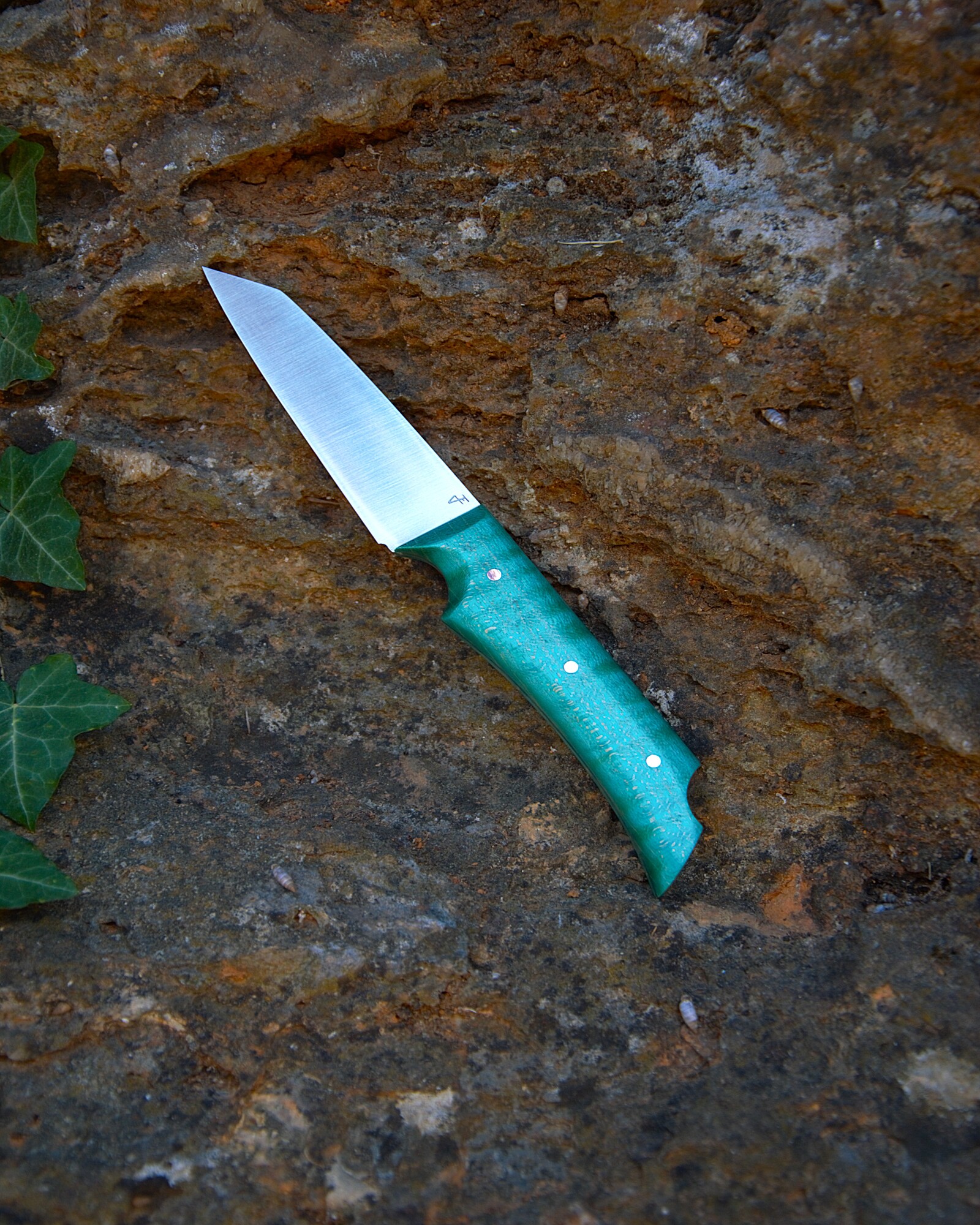 Couteau d'office érable ondé teinté stabilisé