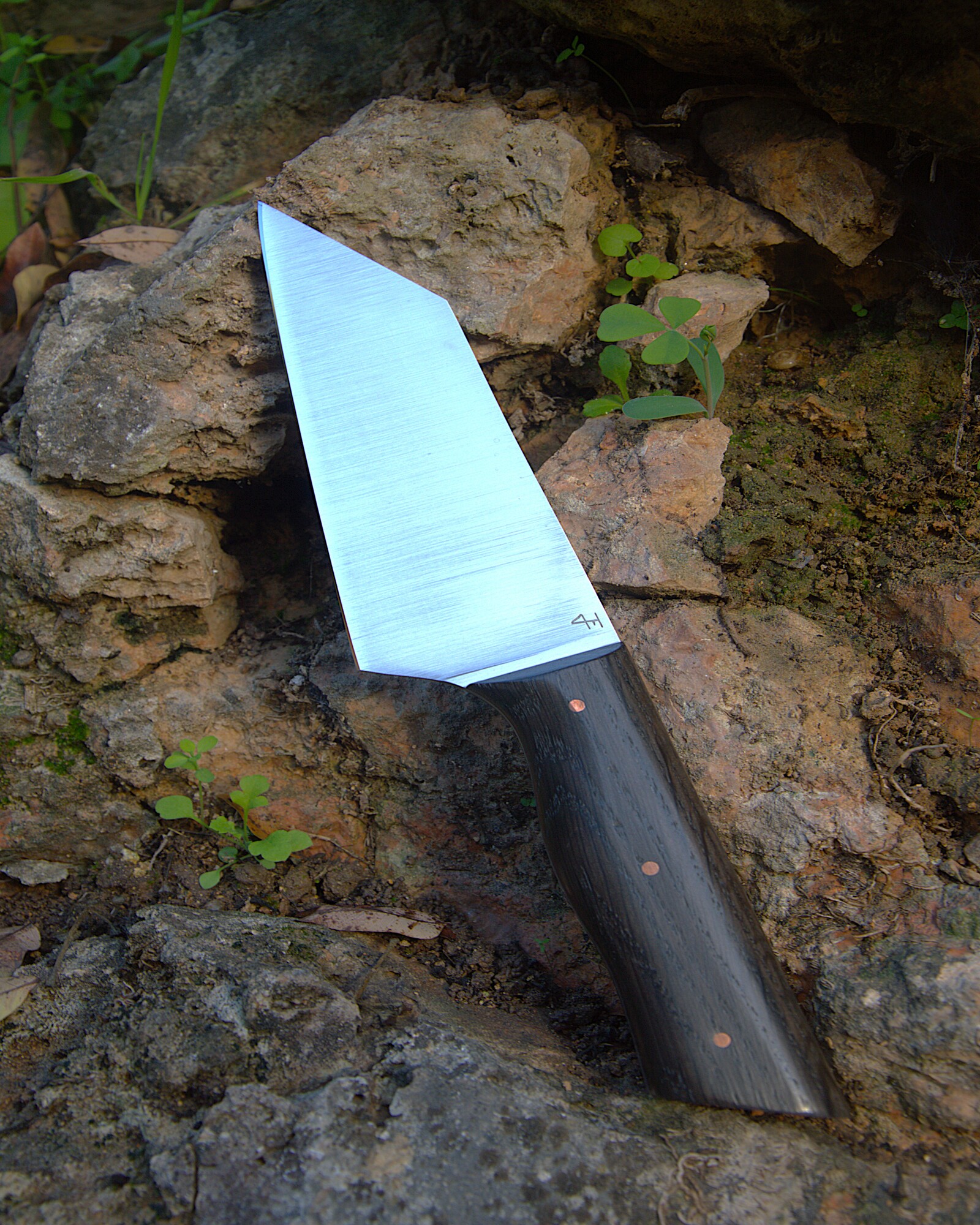 Couteau de cuisine en Chêne des marais